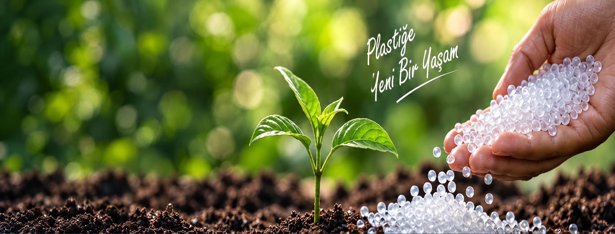 Sustainable production
